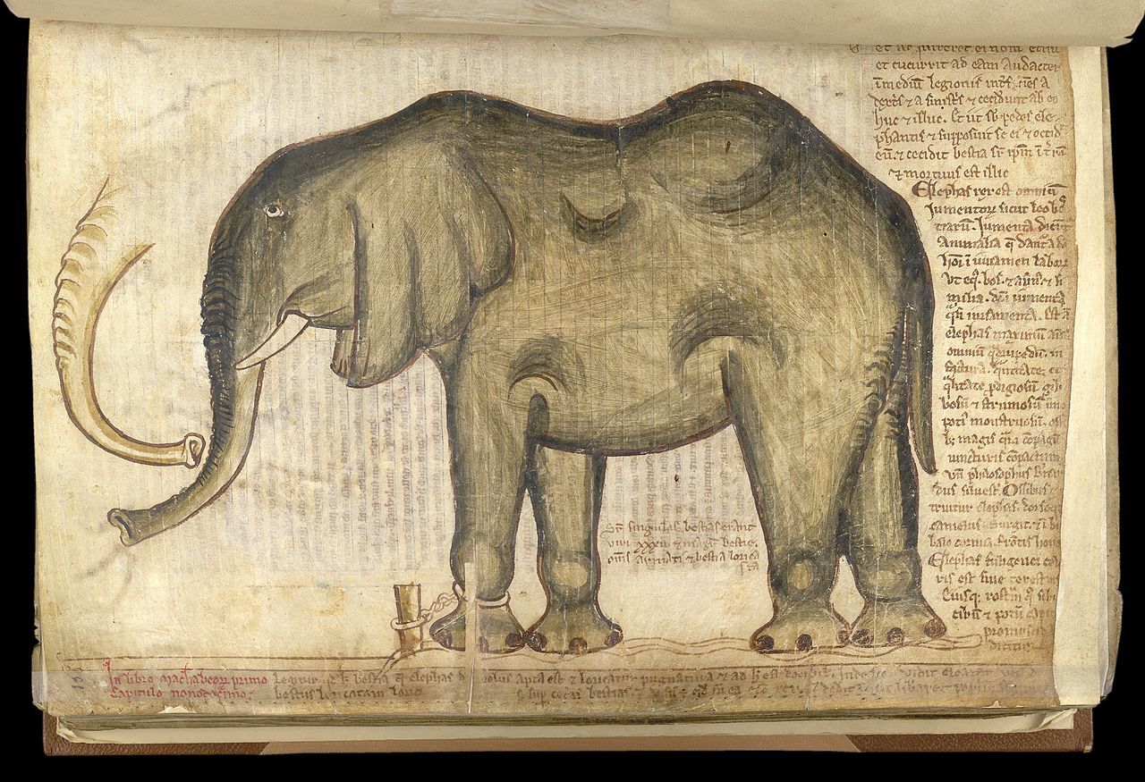 King Henry III's "Elephant"